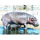 Wild Animals Jigsaws