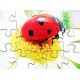 Mini Beasts Jigsaws