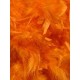 Feathers Single Colour Pack of 200