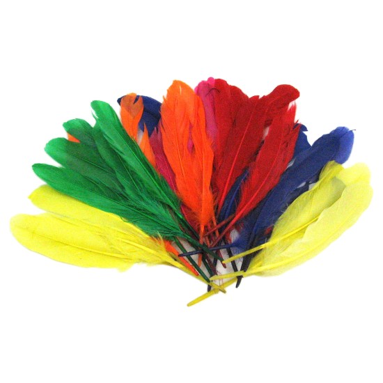 Quill Feathers Bag of 10 Assorted