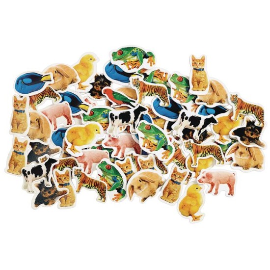 Real Photo Animal Foam Stickers