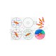 Suction Spinners & Whiteboards