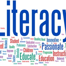 Post Primary Literacy